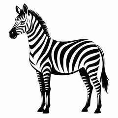 zebra vector illustration