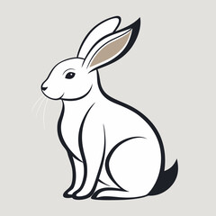 rabbit vector illustration