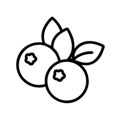 Blueberries outline icon with leaves representing freshness  