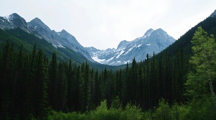 Majestic Mountains Surrounded by Dense Green Forests Under a Cloudy Sky : Generative AI