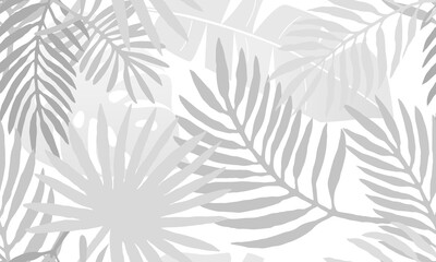 Fashionable floral tropical seamless pattern. Shades of gray texture of palm leaves on white background. Banner with natural silhouette of palm leaf.