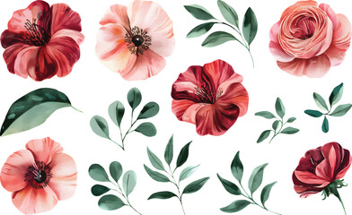 Pink and maroon watercolor flower. Watercolor flower and green leaves, botanical illustration. 