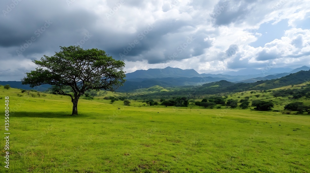 Aufkleber stunning landscape image of a single tree standing tall in a verdant green pasture under a cloudy sk