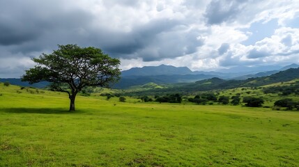 Obraz premium Stunning landscape image of a single tree standing tall in a verdant green pasture under a cloudy sky : Generative AI
