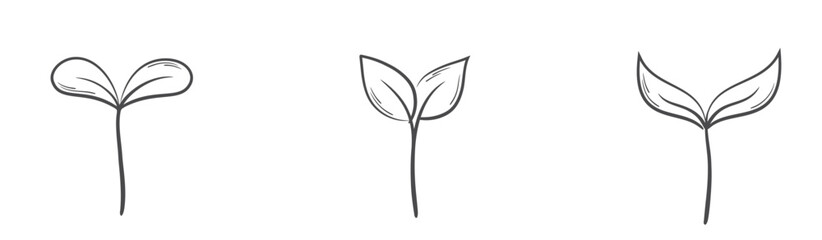 Plant sprouts with two leaves line illustrations. Nature, spring and planting design elements. Isolated vector illustrations