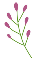 Vibrant Flower and Element For Decoration Spring Season
