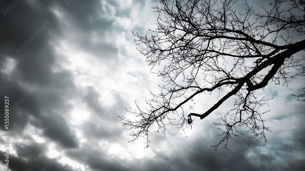 Poster evocative silhouette of a bare tree branch against a dramatic cloudy sky highlighting nature's moodi