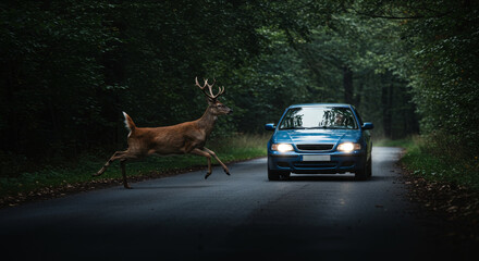 Deer Dash: A Near Miss on a Forest Road - A large deer sprints across a road, narrowly avoiding a collision with an oncoming car. Symbolizing: wildlife, danger, nature, driving safety, and speed