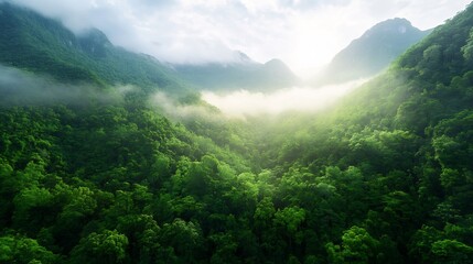 Obraz premium Breathtaking aerial view of lush green mountains shrouded in mist capturing the beauty of nature's untouched wilderness : Generative AI
