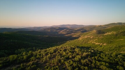 Stunning Aerial View of Lush Green Hills Under Bright Sky at Sunset : Generative AI