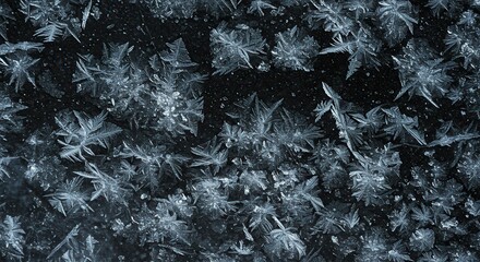 Frosted ice overlay with intricate patterns and textures  