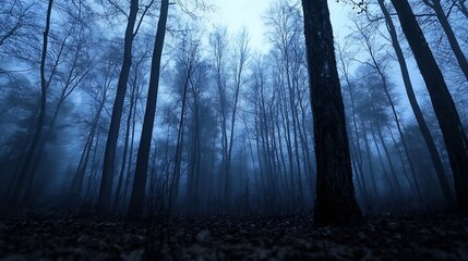 Fototapeta premium Eerie fog envelops tall trees in dark forest creating a mysterious and tranquil atmosphere at dusk : Generative AI