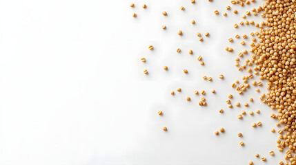 A clean white background with a small collection of beige sorghum grains scattered across it, highlighting their texture and natural color.