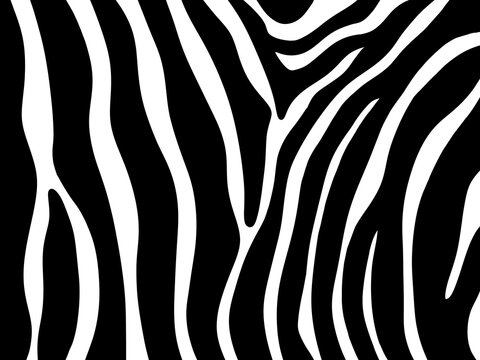 Simple hand drawn zebra pattern print, Monochrome animal background