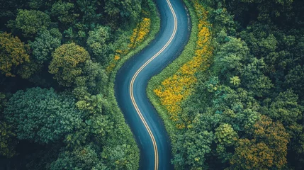 Selbstklebende Fototapeten Winding roadway carves a path through lush dense forest canopy aerial perspective © Khaisan