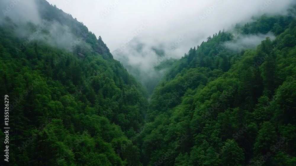Aufkleber misty mountain landscape with lush greenery and fog creating a mystical atmosphere in nature : gener