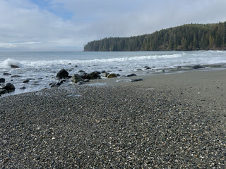 Breaking waves on the coast of a tree lined rocky beach in the Pacific Northwest