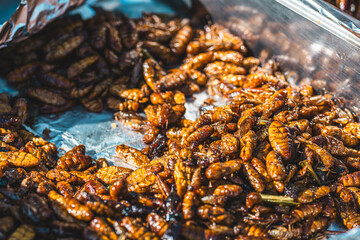 Fried grasshoppers at a Thai street food stall
