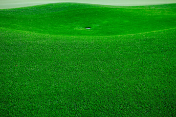 The green lawn for playing golf. The ideal green surface of a golf course is the primary requirement for such fields and one of the main conditions for opening a new course for golf competitions.