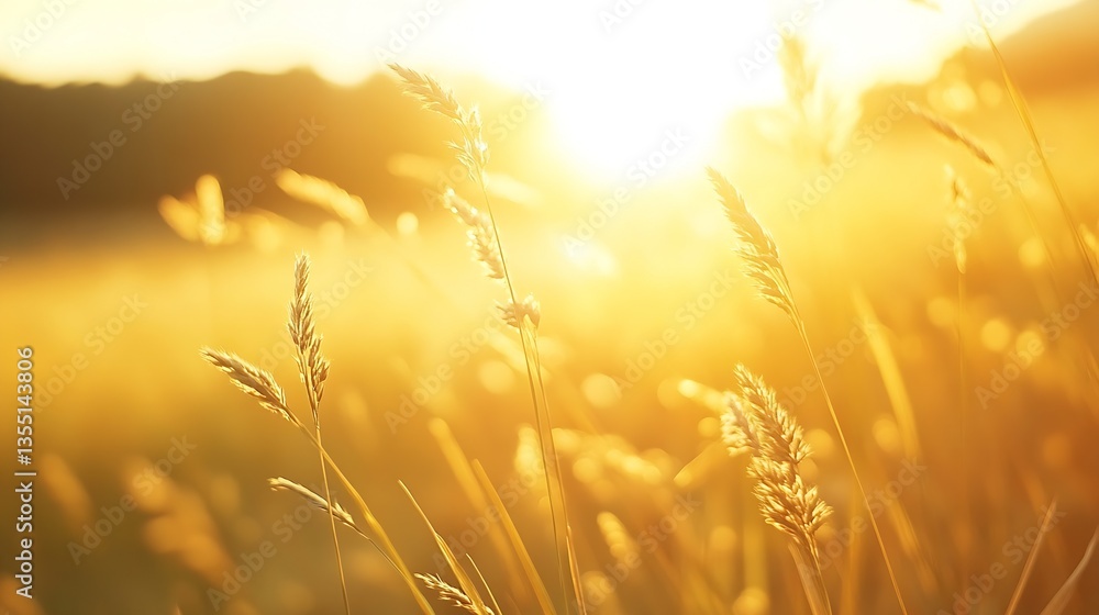 Aufkleber golden wheat fields glowing under warm sunlight at sunset creating a tranquil atmosphere : generativ