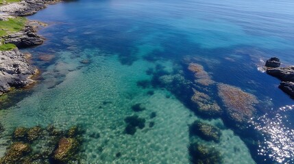 Aerial View of Clear Blue Waters with Rocky Shores and Vibrant Coral Reefs : Generative AI