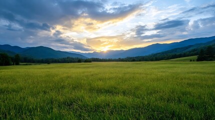 Obraz premium Golden Fields of Grass Bathed in Sunset Light with a Mountain Backdrop : Generative AI