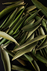 Obraz premium Texture naturale – Foglie d’ulivo isolate su sfondo nero.