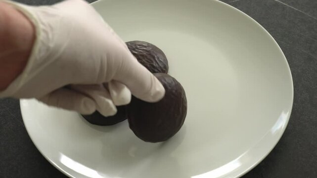 Hand is putting brown, chocolate coateds gingerbread (Lebkuchen) on a plate. Lebkuchen is a German and Austrian Christmas specialty. 