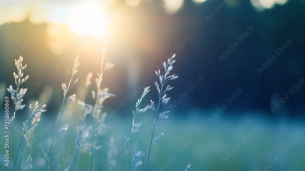 Aufkleber Soft glow of sunlight filtering through delicate grass blades in a tranquil outdoor field at sunset : Generative AI