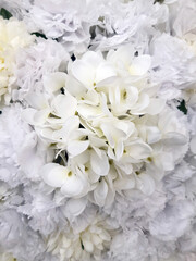 Background of a variety of white flowers. Texture of natural white flowers. Nature and botany. Floral arrangements for weddings, baptisms, and celebrations.