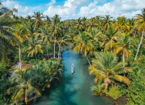Scenic Maasin River Cruise in Siargao &ndash; A Tranquil Journey Through Lush Palm-Lined Waters, Featuring the Famous Bent Palm Tree and Stunning Tropical Scenery!
