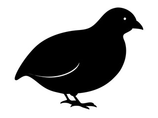 Fototapeta premium Quail Silhouette: A clean, minimalist silhouette of a quail, rendered in stark black against a plain background, perfect for design and branding. AI Generative