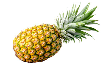 Ripe whole pineapple isolated
