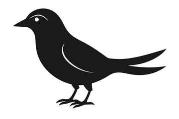 Fototapeta premium Bird Silhouette Design Black Bird on Isolated White Background