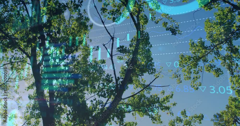 Poster tree branches with financial data and graphs animation over blue sky