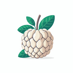 fruit, tropical, healthy, food, fresh, organic, nature, sweet, background, green, vegetarian, ripe, delicious, diet, vitamin, freshness, exotic, juicy, custard apple, nutrition, custard, tasty, agricu