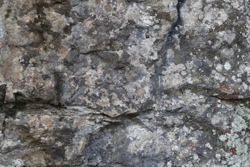 Naklejka premium Natural background