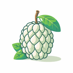 fruit, tropical, healthy, food, fresh, organic, nature, sweet, background, green, vegetarian, ripe, delicious, diet, vitamin, freshness, exotic, juicy, custard apple, nutrition, custard, tasty, agricu