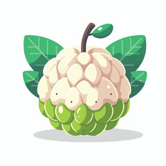fruit, tropical, healthy, food, fresh, organic, nature, sweet, background, green, vegetarian, ripe, delicious, diet, vitamin, freshness, exotic, juicy, custard apple, nutrition, custard, tasty, agricu