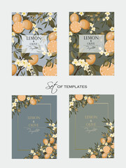 set of vector templates for postcards with lemons and olives