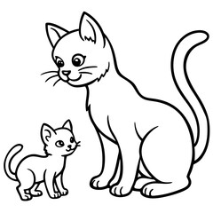 black and white cat