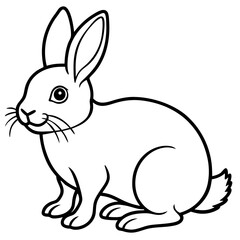 vector illustration of a rabbit