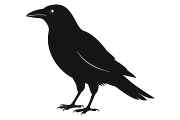 Fototapeta premium Crow Silhouette Illustration, Full Body, Black Bird, Isolated, Minimalist, White Background
