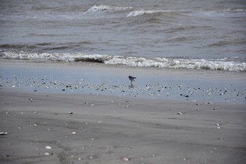 Vacaciones en la costa