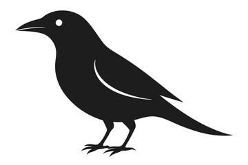 Obraz premium Isolated Crow Silhouette, Bird Standing Profile, Black Raven on White Background, Icon