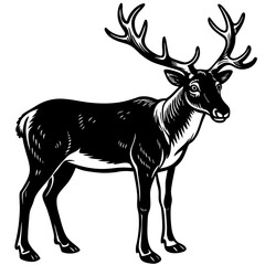 Majestic Deer Silhouette: A striking monochrome depiction of a magnificent deer, showcasing its impressive antlers and elegant form. 