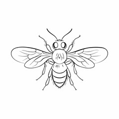Obraz premium a detailed outline drawing of a bee, showcasing its wings and body structure