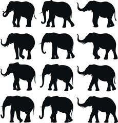 Set consistent elephant silhouette black color vector