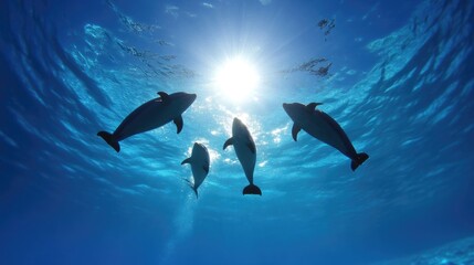 Majestic dolphins in the ocean's depths.  Four playful dolphins gracefully swim together underwater, sunlight shines brightly from above
