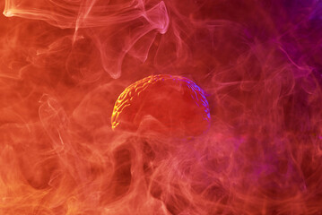 Brain Floating in  Fog